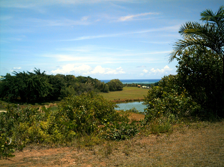 28 - Jardin des eaux 041.jpg